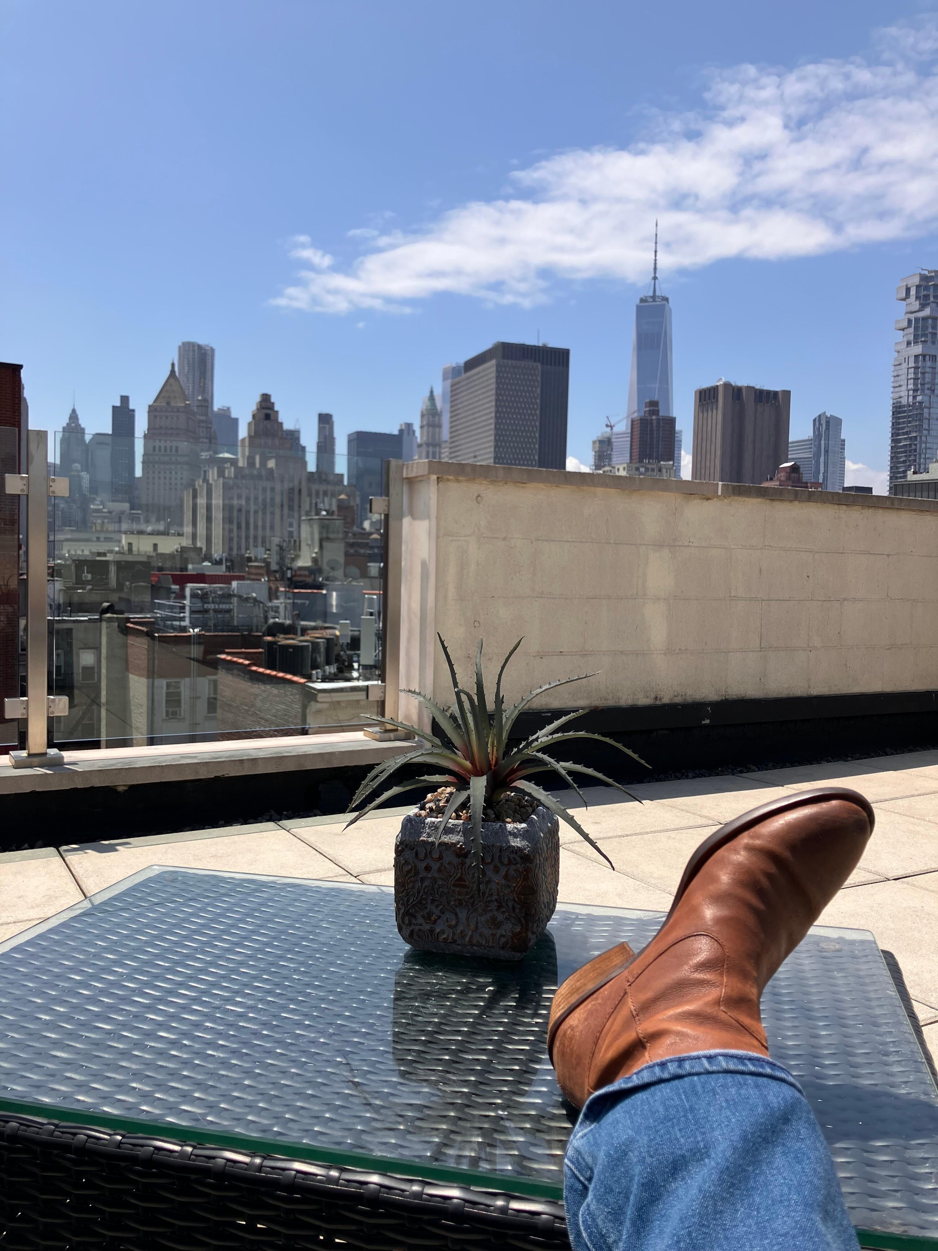 Rooftop view 