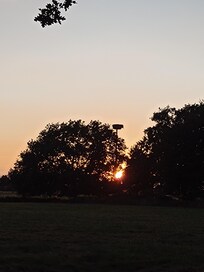 Sonnenuntergang mit Storchennest