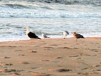 Asbury Park-the beauty of the beach.