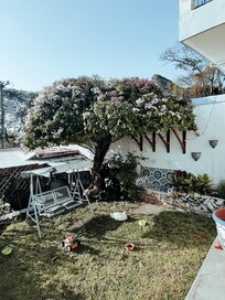 Le jardin de l'hôtel