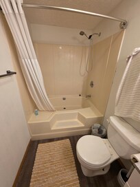 Master bath with step up but no support bar