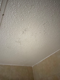 Mold on ceiling in hotel