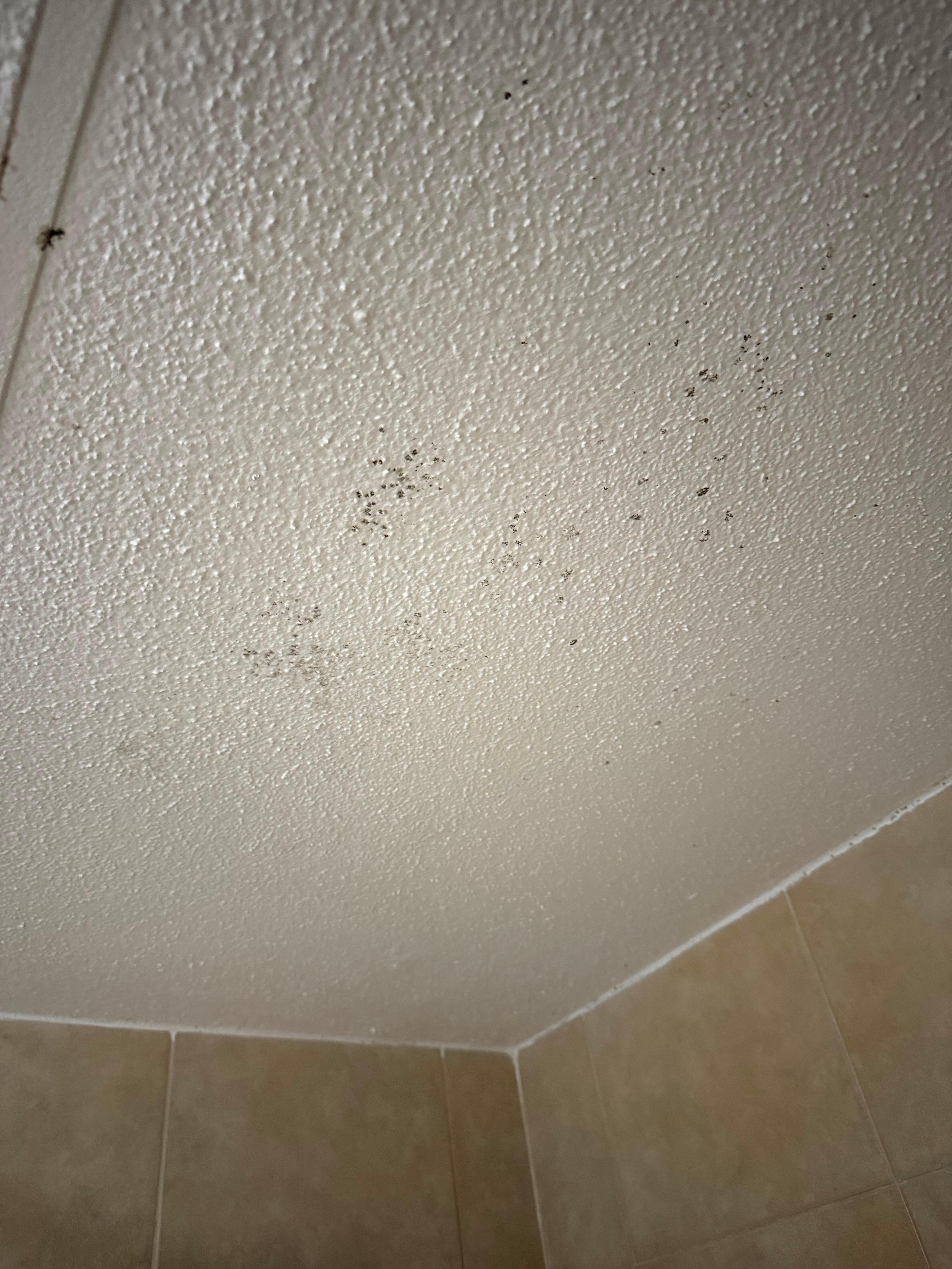 Mold on ceiling in hotel