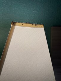 Rust / moldy looking light shade