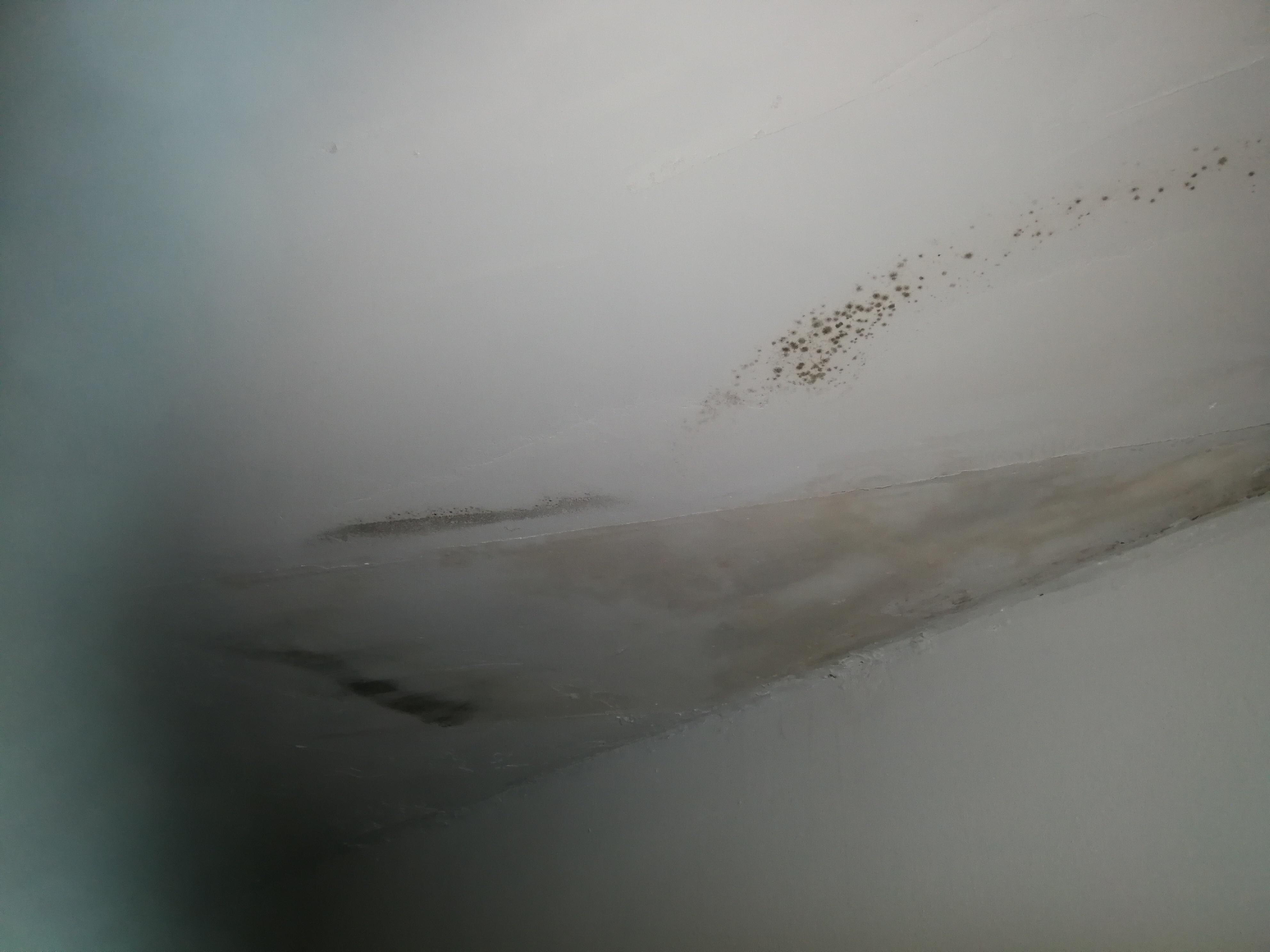 Damp on ceiling 