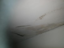 Damp on ceiling