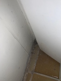 Nightmare behind bathroom doors.