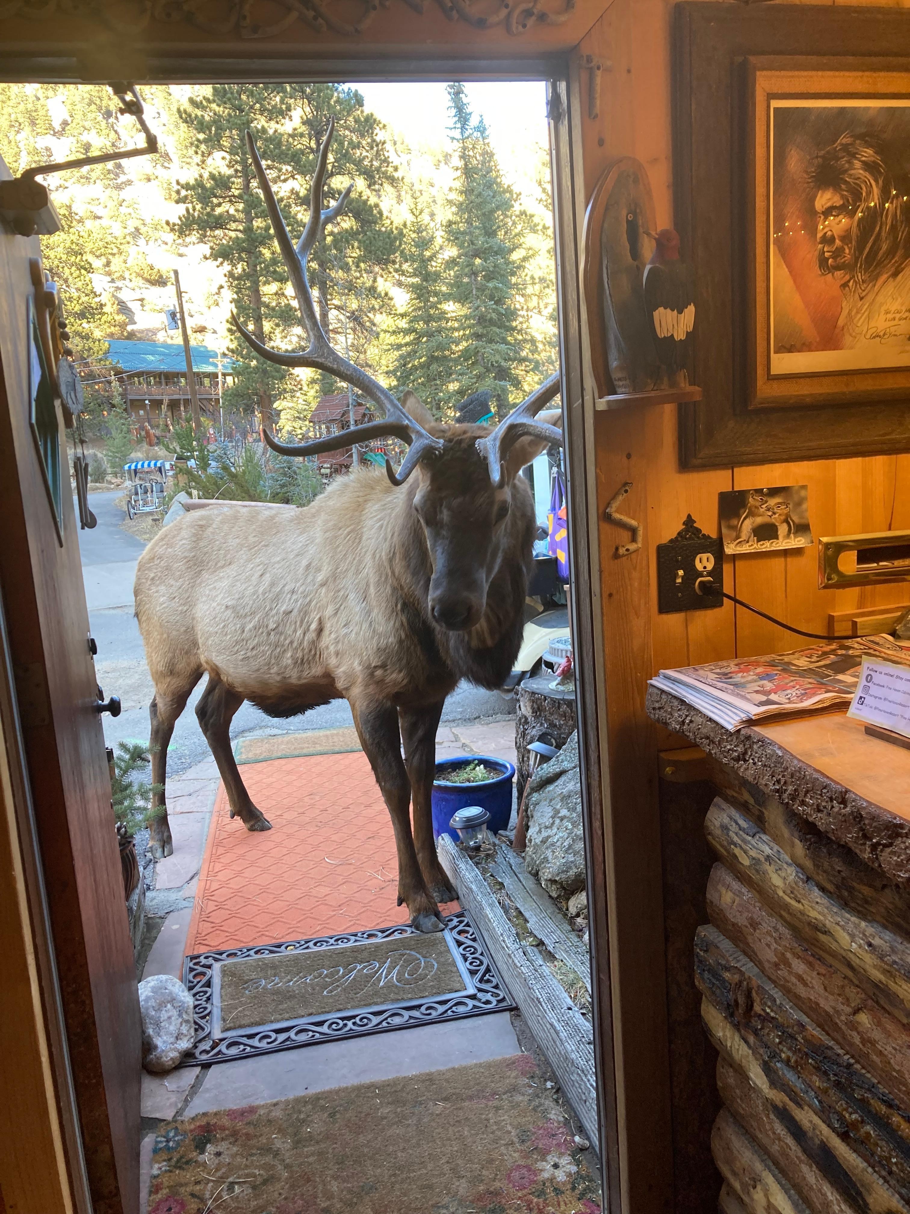 Meet and greet! Great and first encounter with the local wildlife.