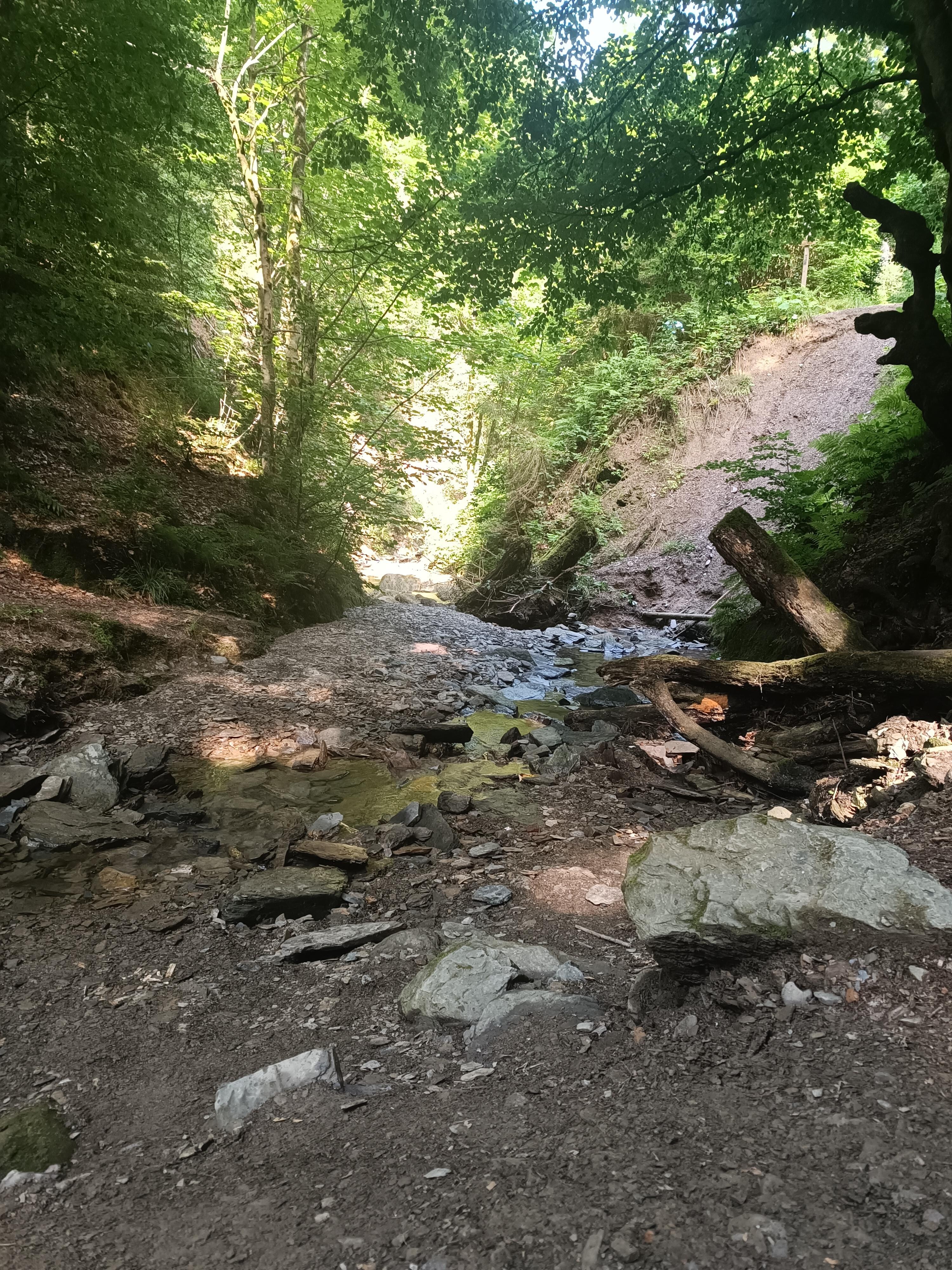 Brücken- und Schluchtenpfad Winterberg