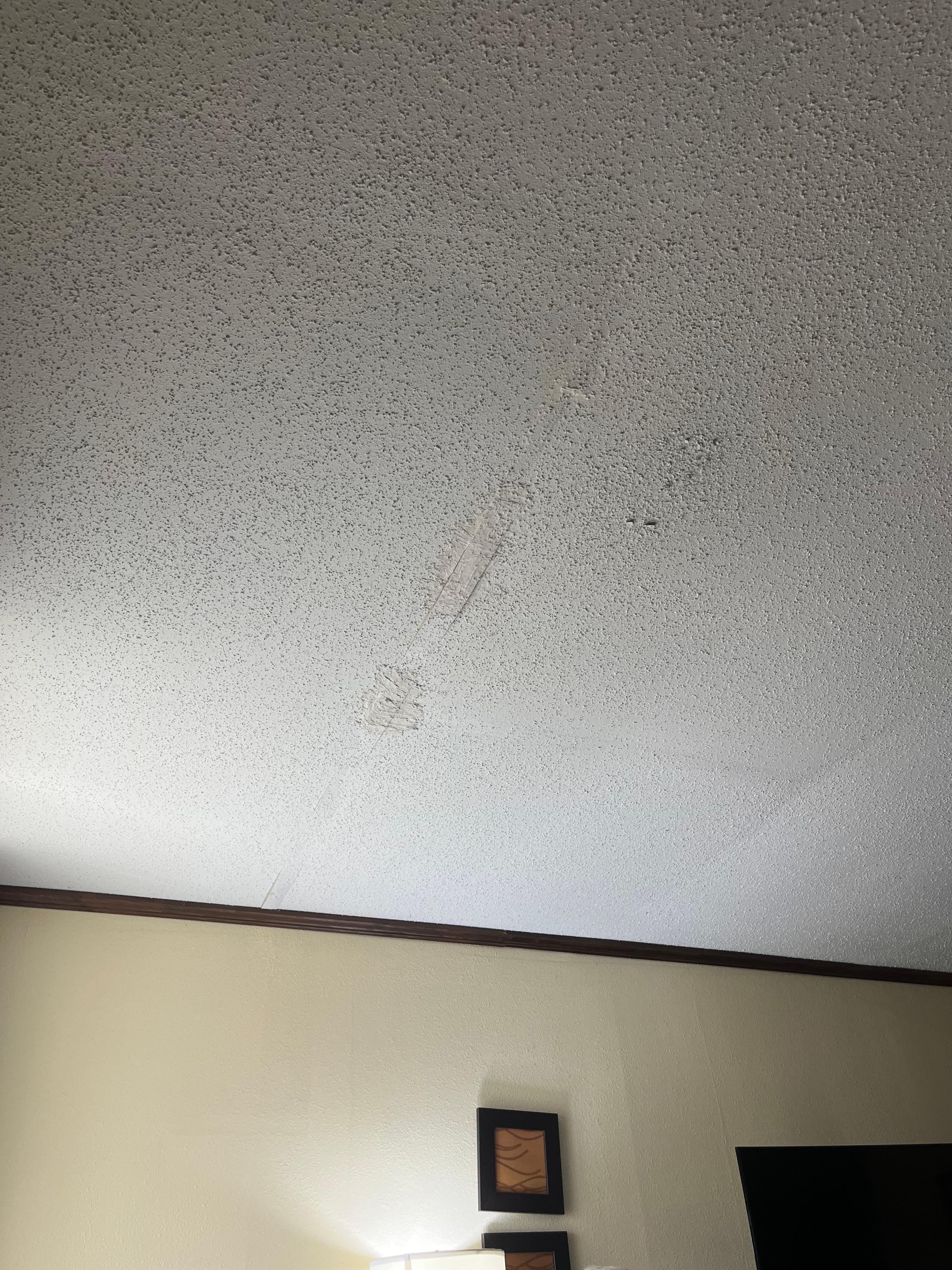 Ceiling damage