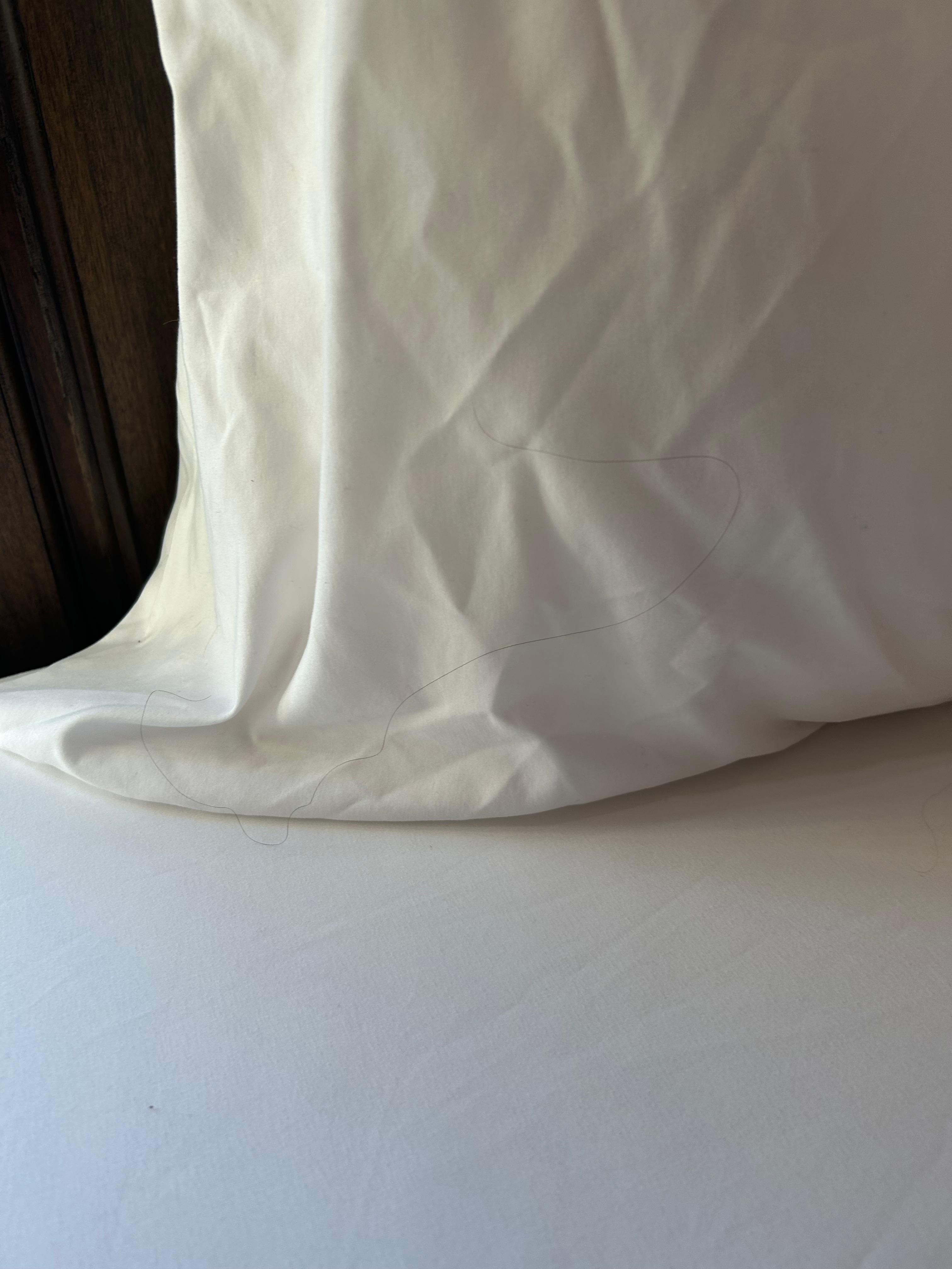 While the host , owner was polite the management company was unprofessional 