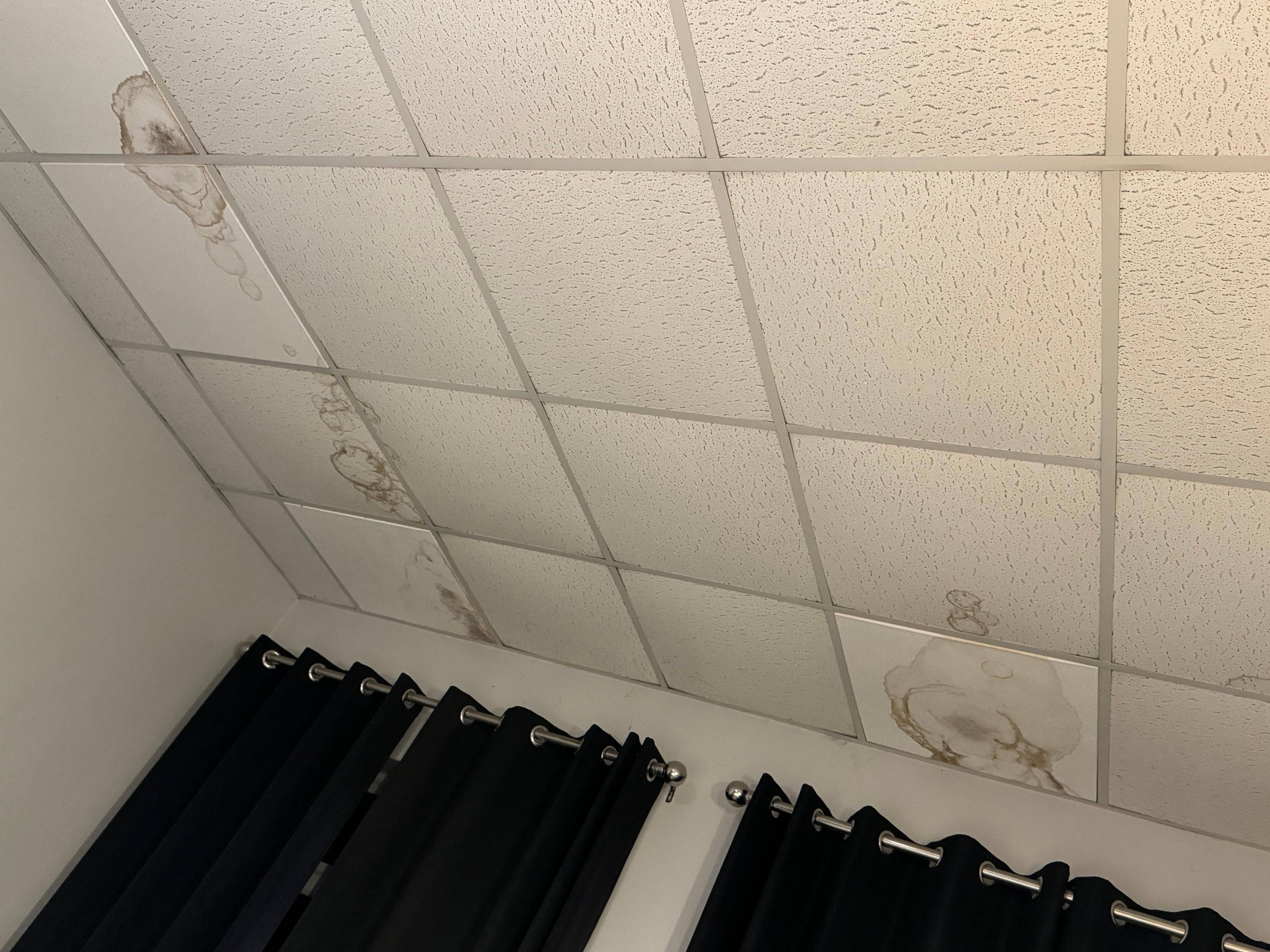 Stains all over the ceiling 