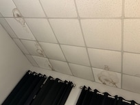 Stains all over the ceiling
