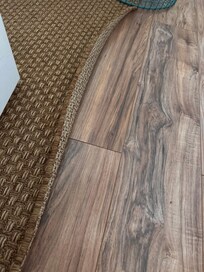 Rug in twin bed room