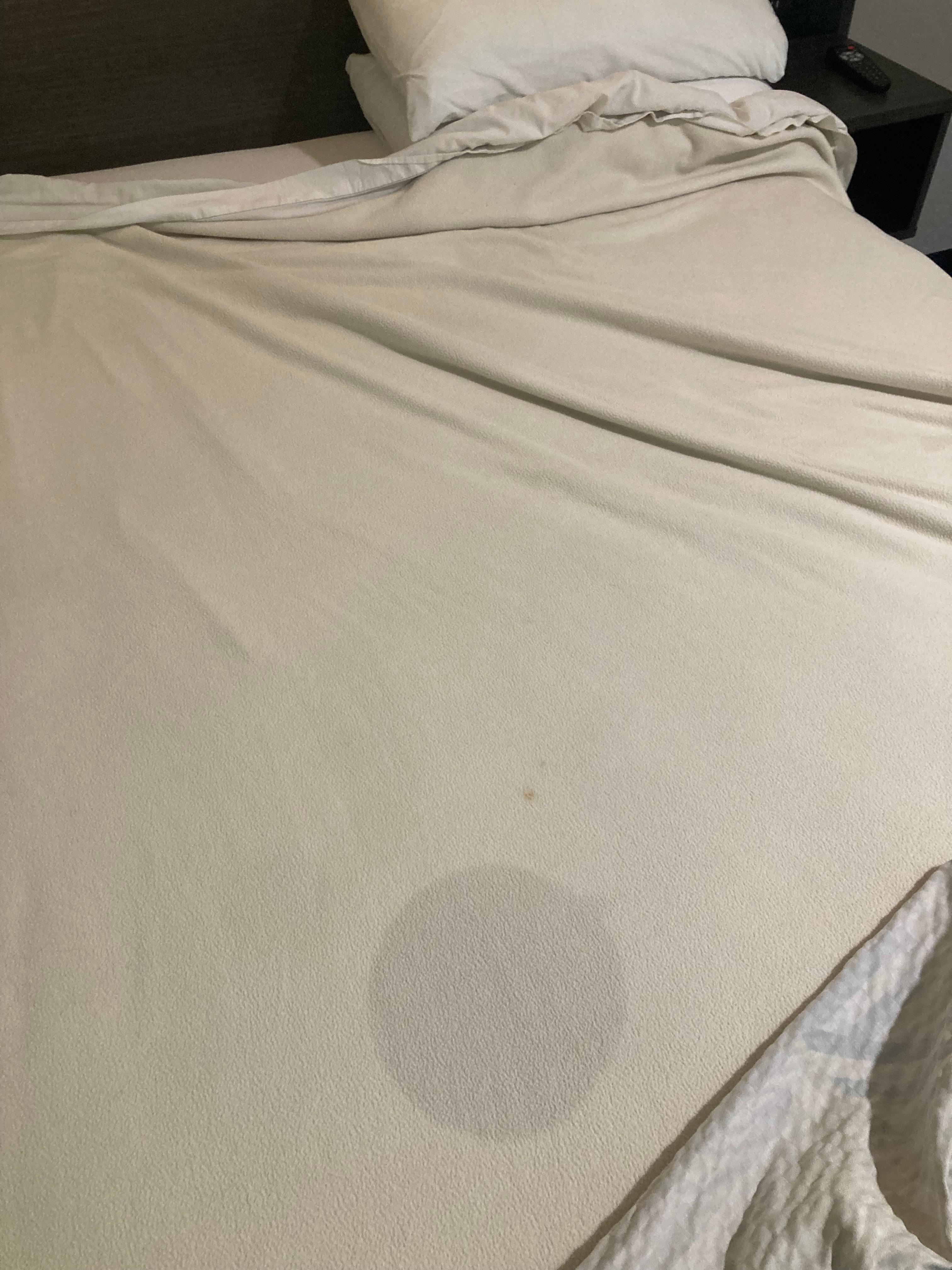 Same stain, different angle