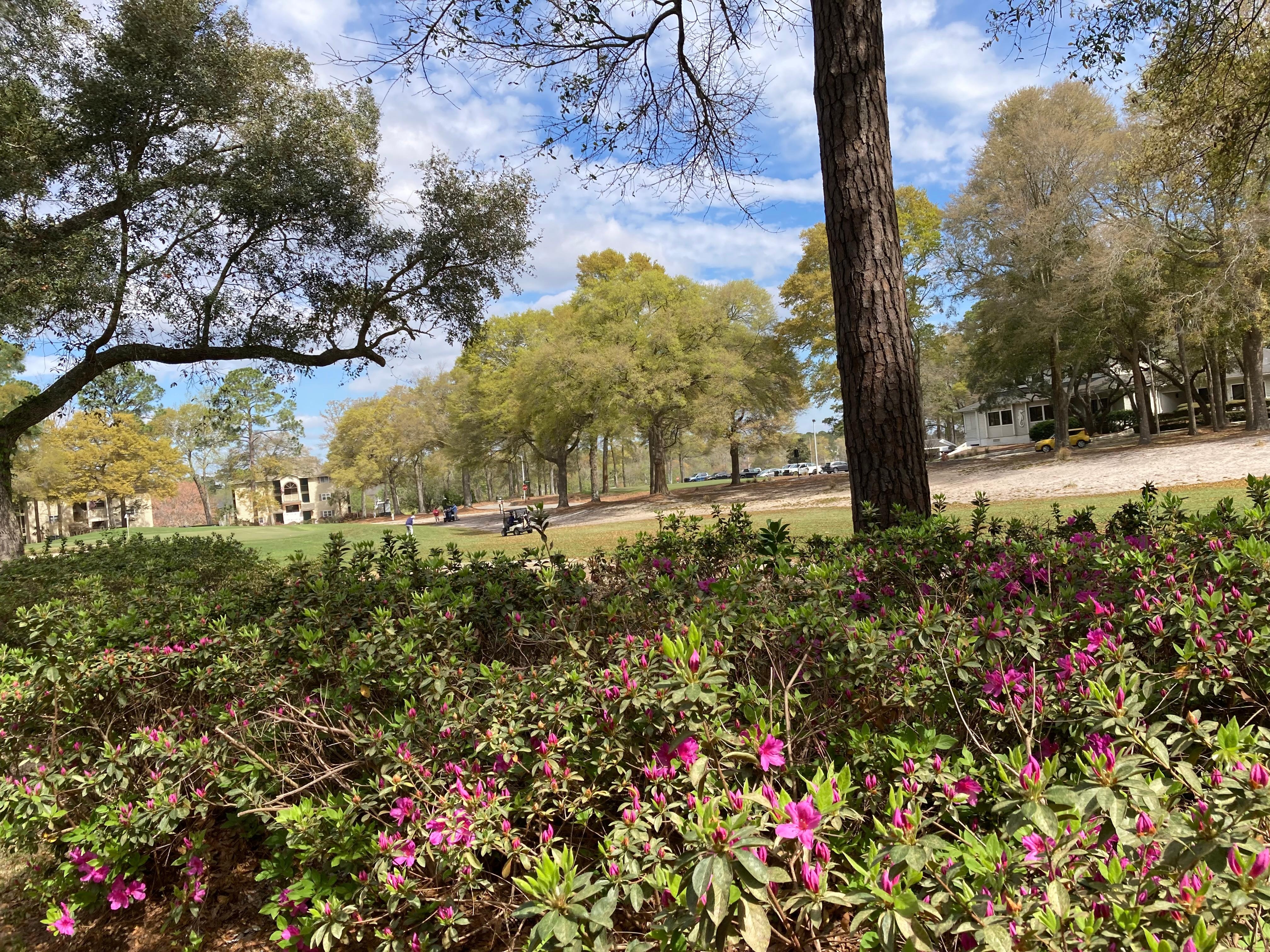 Our view from the screened in porch! 