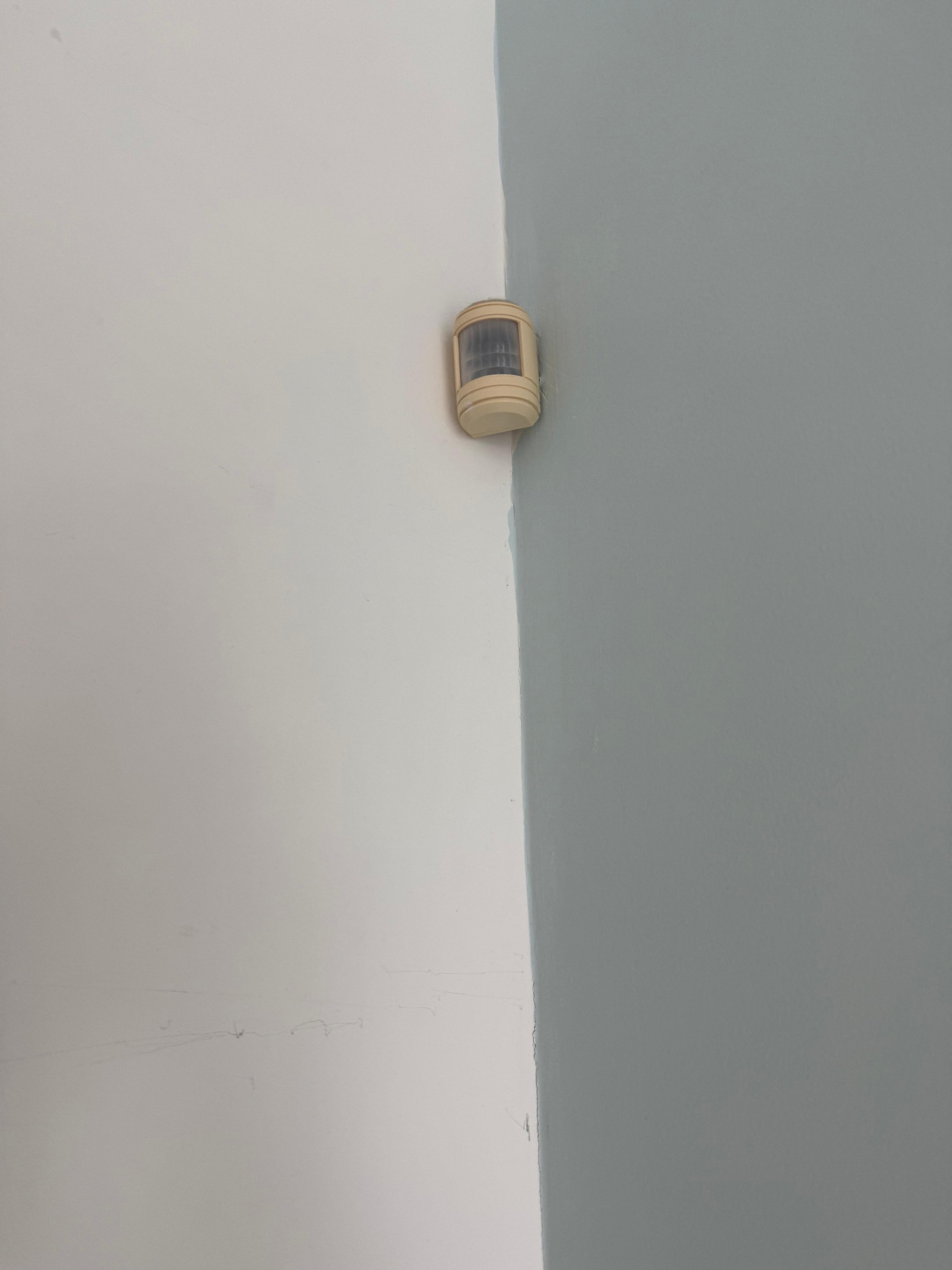 Motion detector/listening device in living room