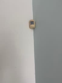 Motion detector/listening device in living room