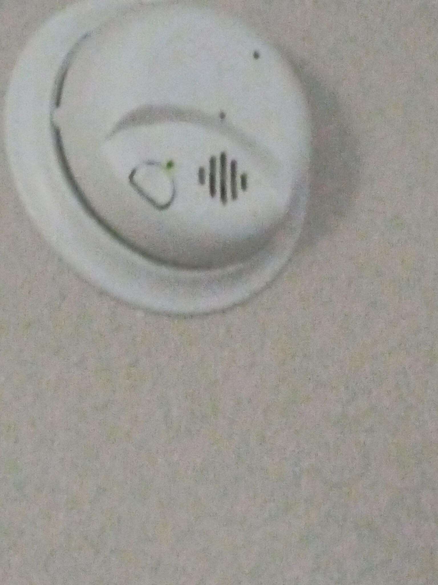 Roaches crawling on the smoke detector 