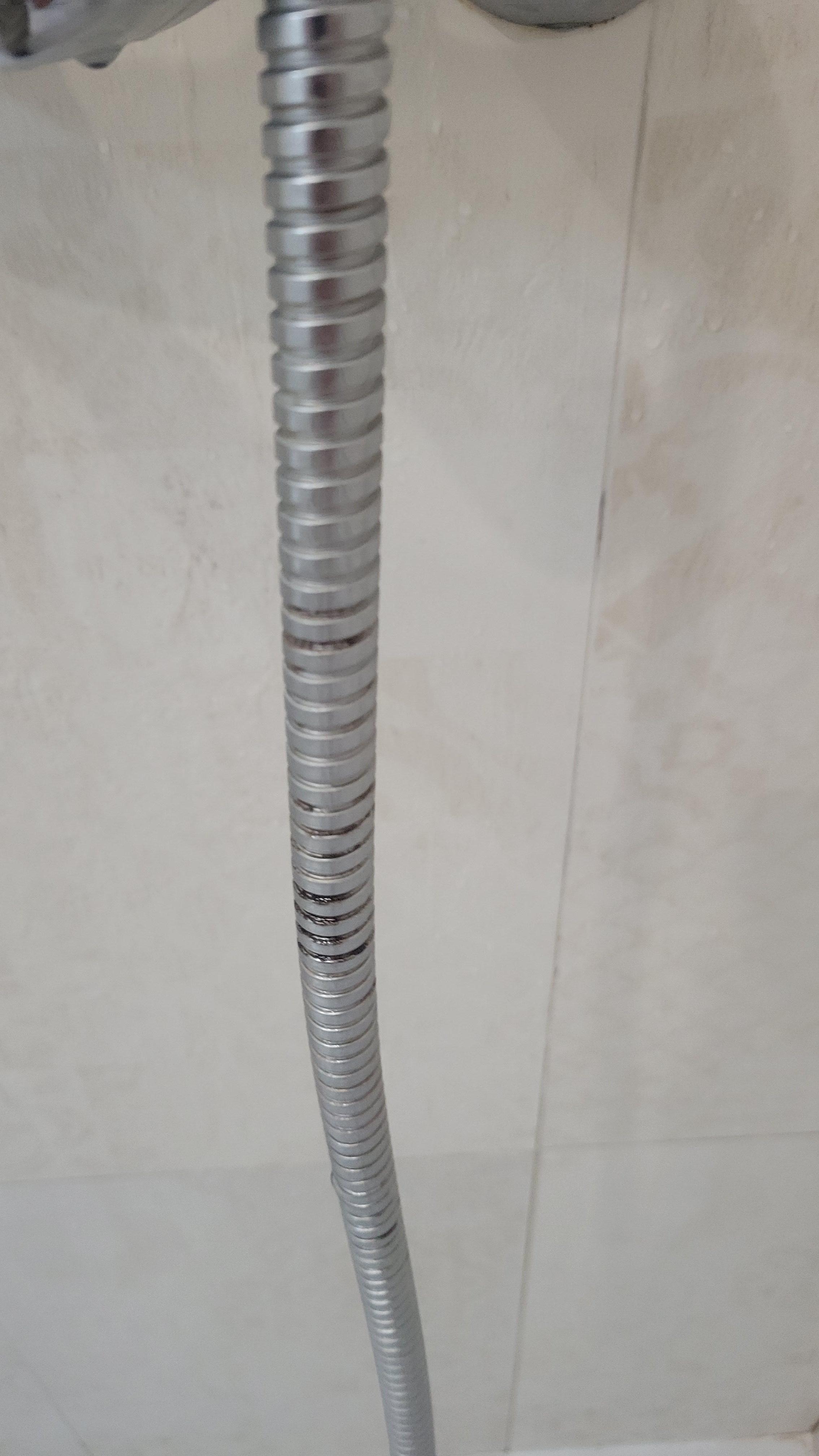 Dirt/mold on shower hose