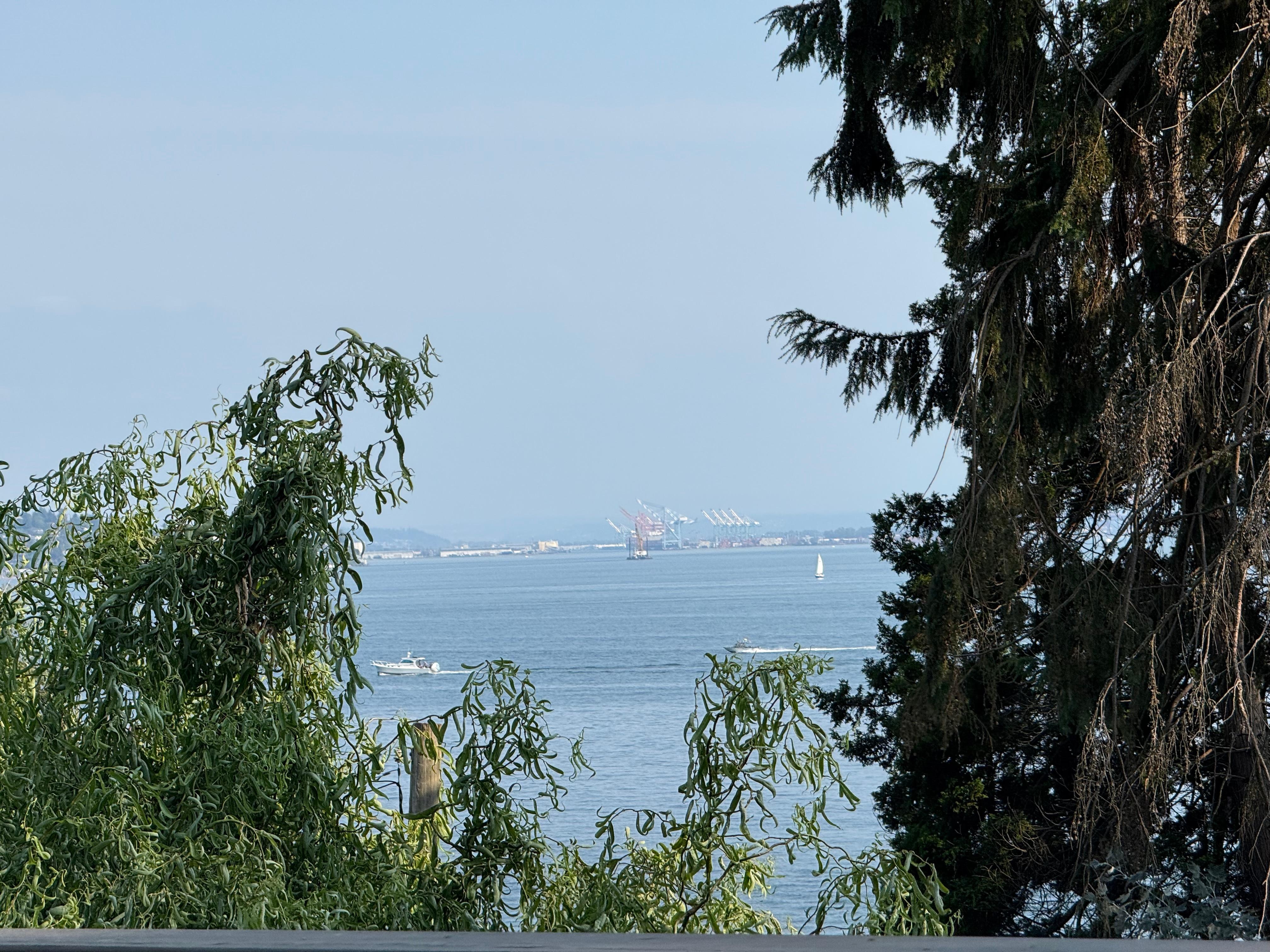 Looking across the water towards Tacoma and watching the sailboats make the most of the gentle breeze while lounging on the deck.