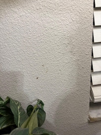 Why couldn’t this have been easily wiped??