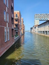 The neighborhood