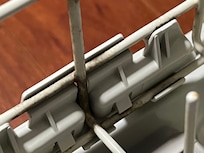 Mold on the racks