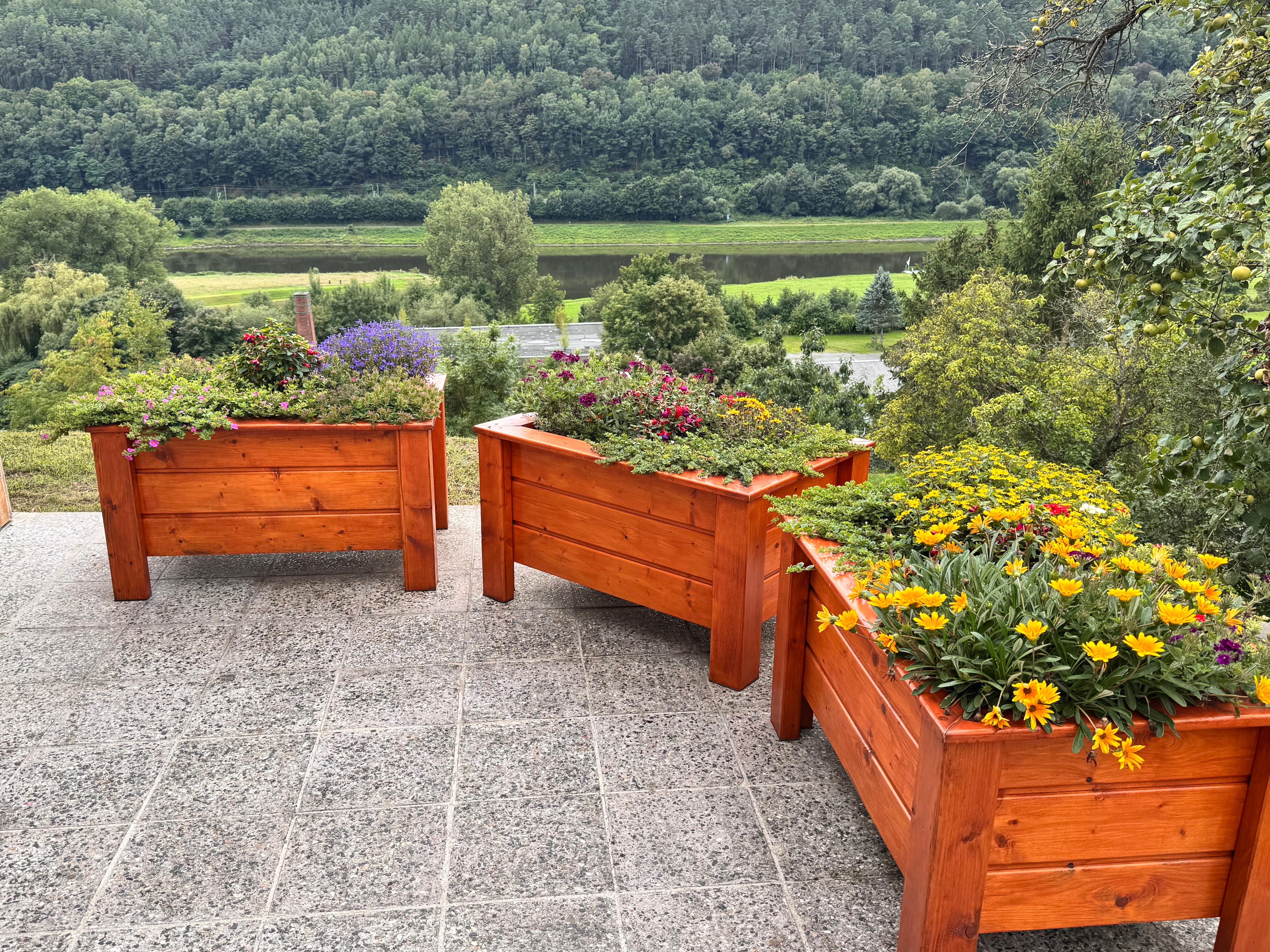 Aussicht von der Terrasse 