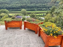 Aussicht von der Terrasse