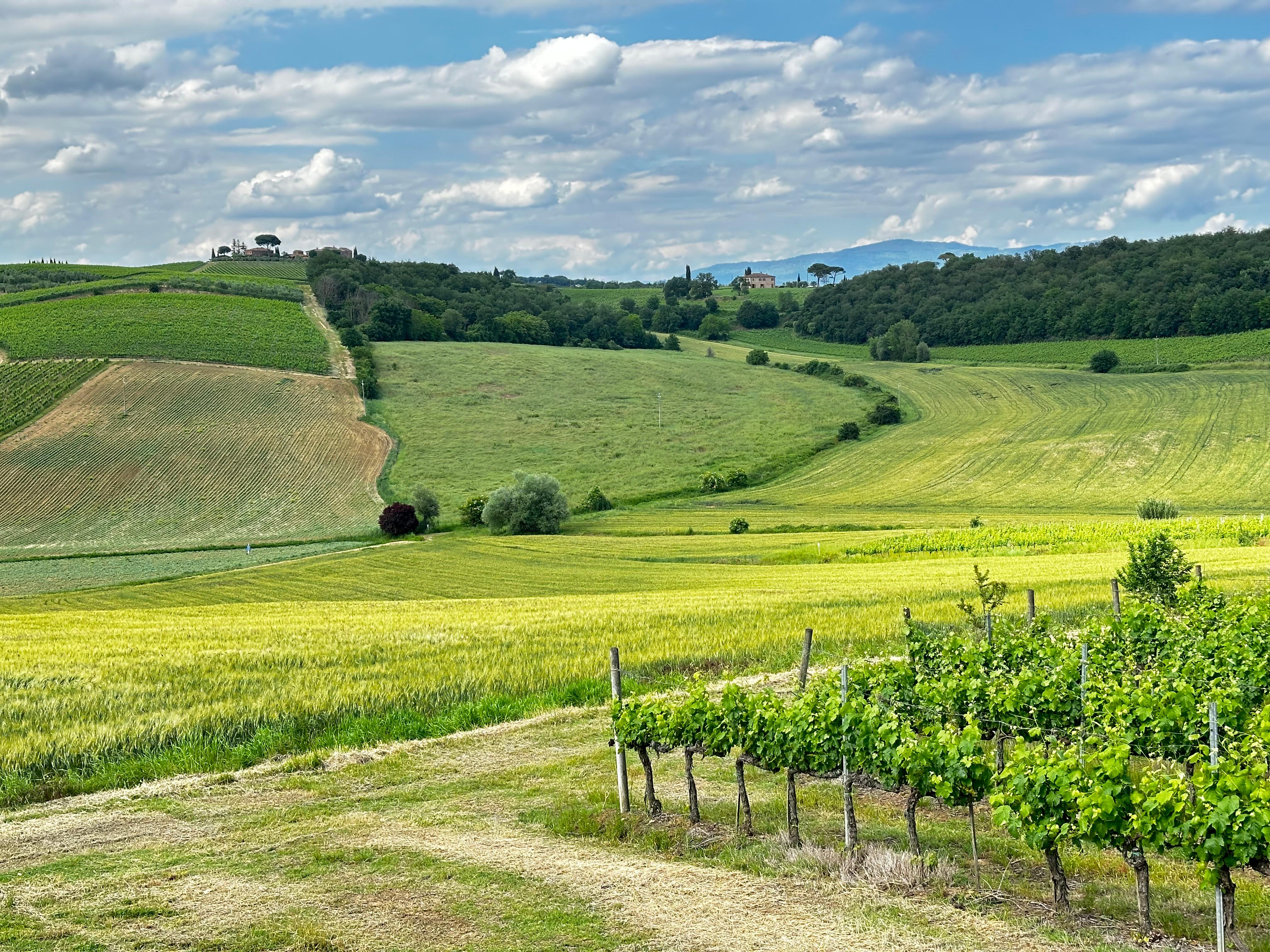 Rolling Tuscan hillside