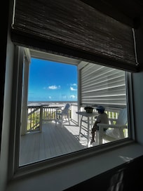 View out of the kitchen. The greenery on the ground is the backyard and walks directly to the beach. Private entry.