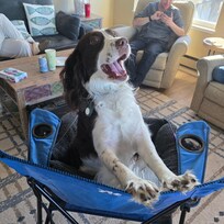 FYI... no dogs allowed on the furniture. Luckily, he loved his camping chair