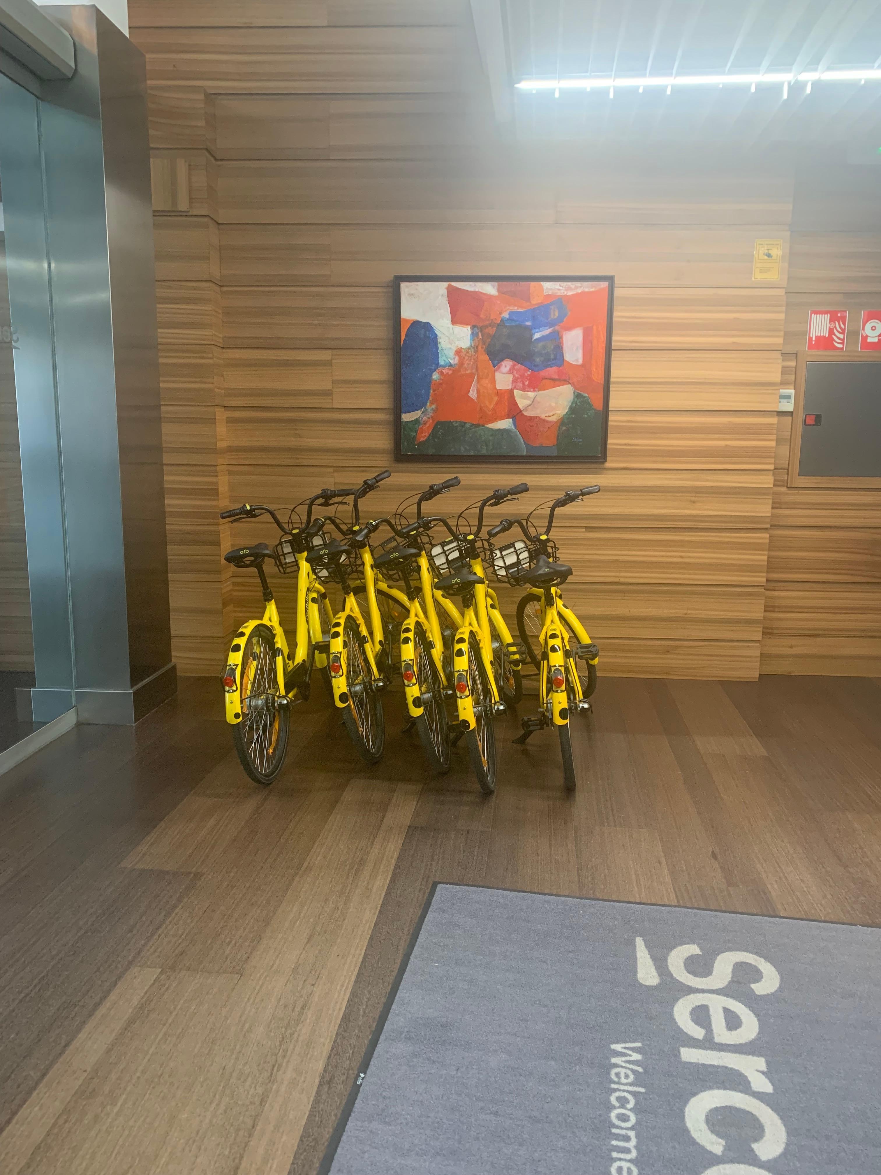 You can rent bikes! 