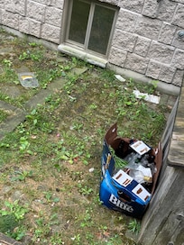 Garbage at the entrance of the back yard