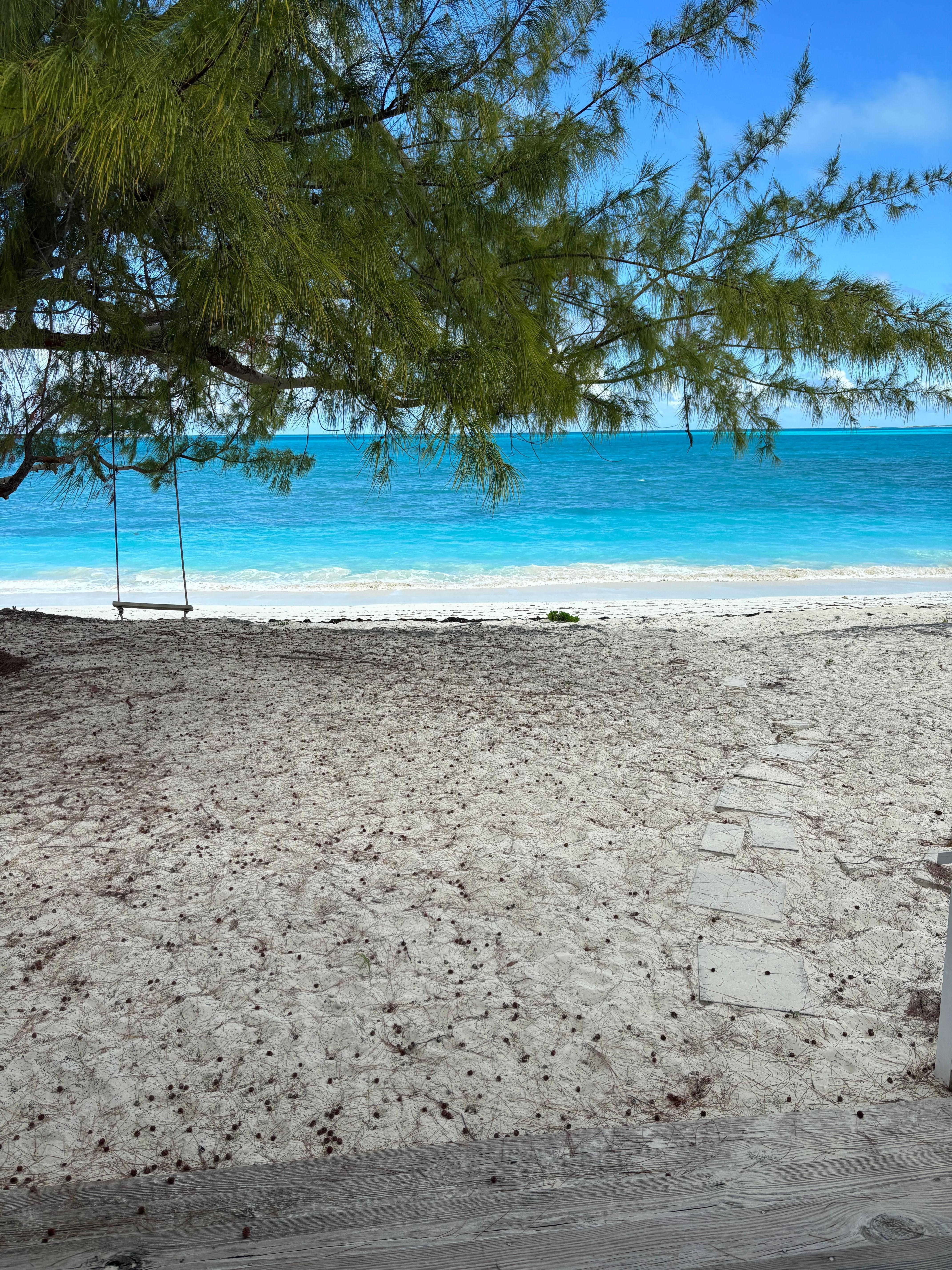 View from the back porch / deck