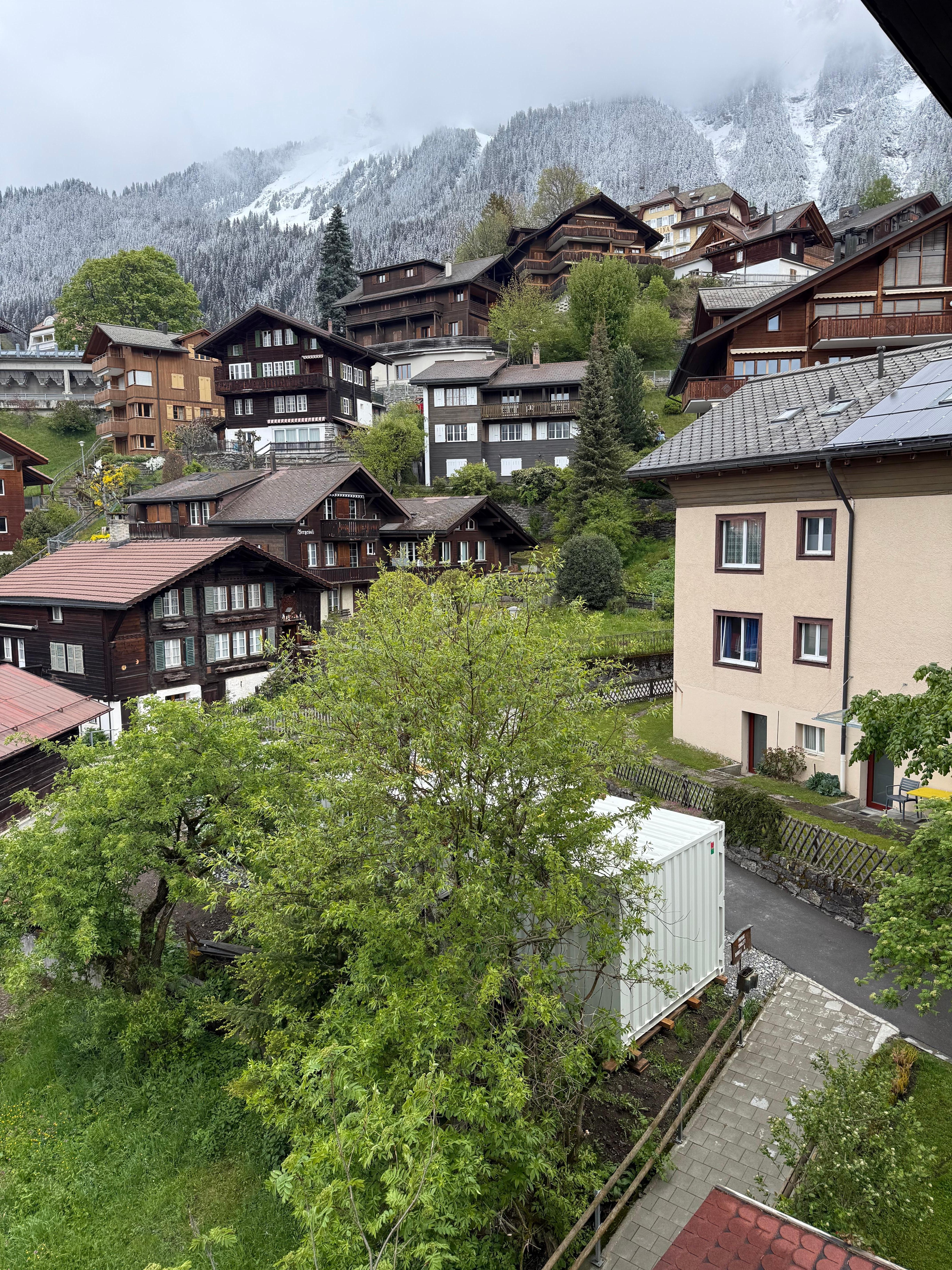 View from room