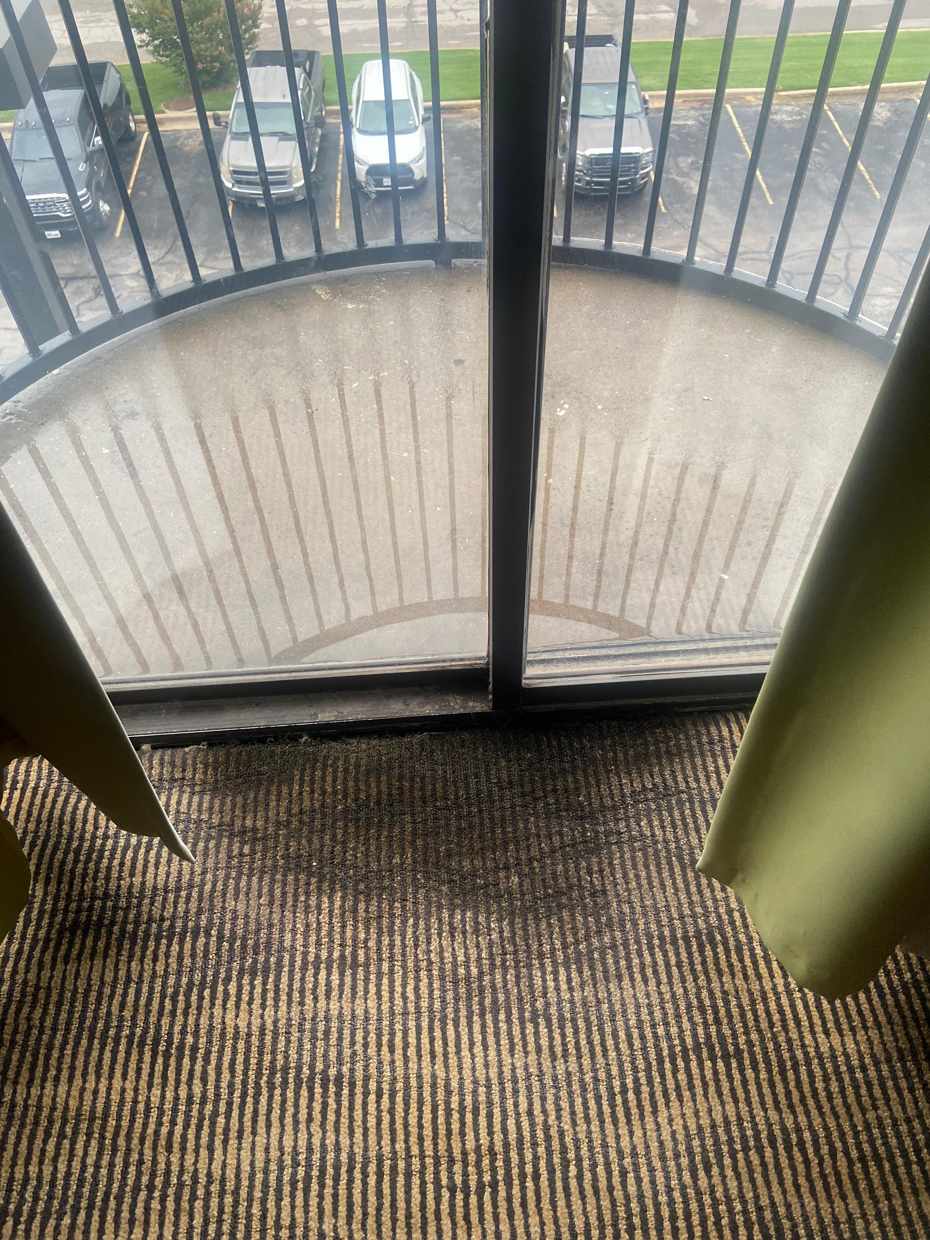Molded carpet and pooling water on balcony