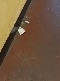Hallway dirt