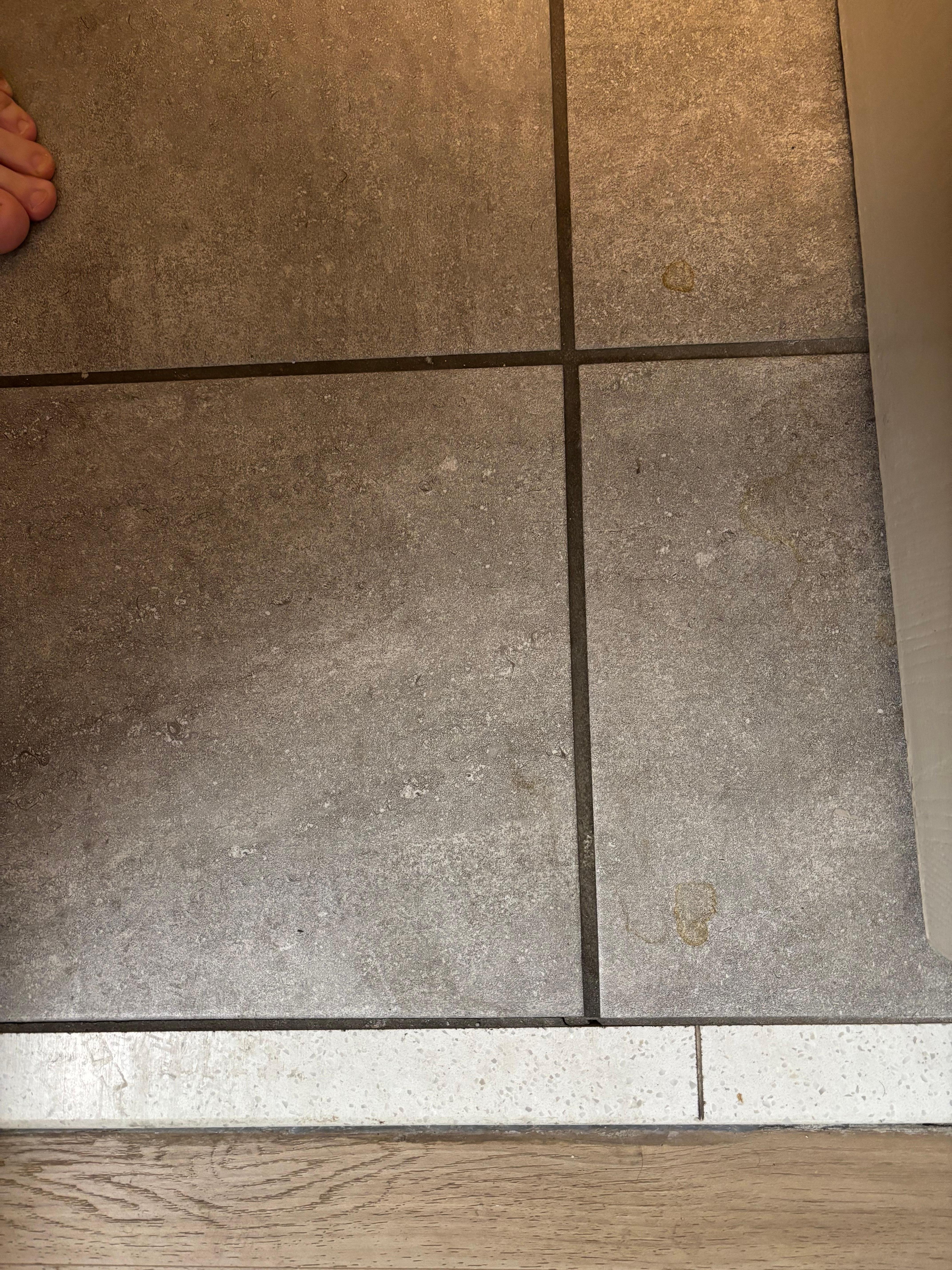 Un mopped floor in bathroom