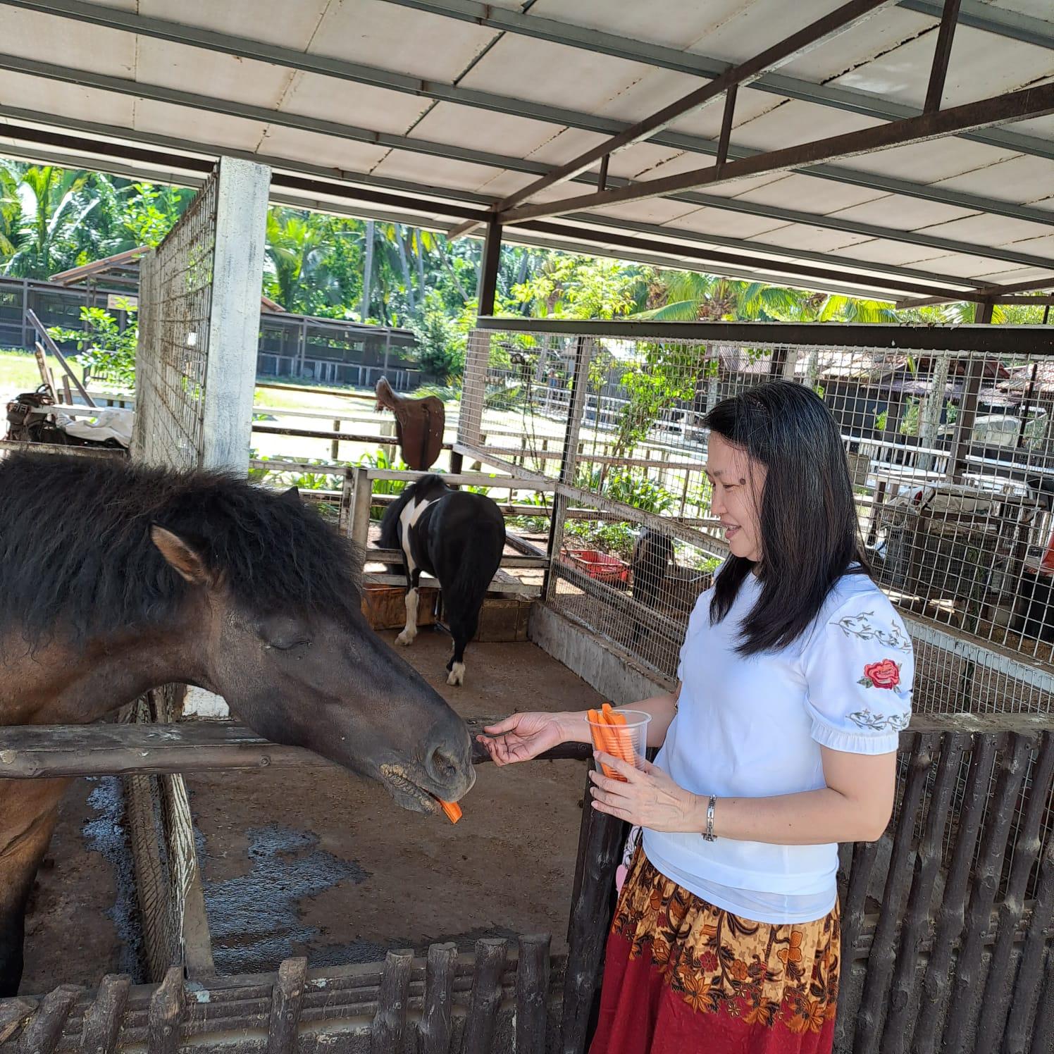 We did not expect to be given a chance to feed the animals so we were pleasantly surprised when Ah Lin handed me 2 cups of carrots and 2 cups of bread on the 4th day of our stay at the HS Farmstay.