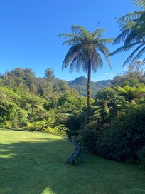 Outlook from bedroom ranch slider