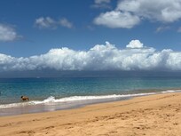 Beach view