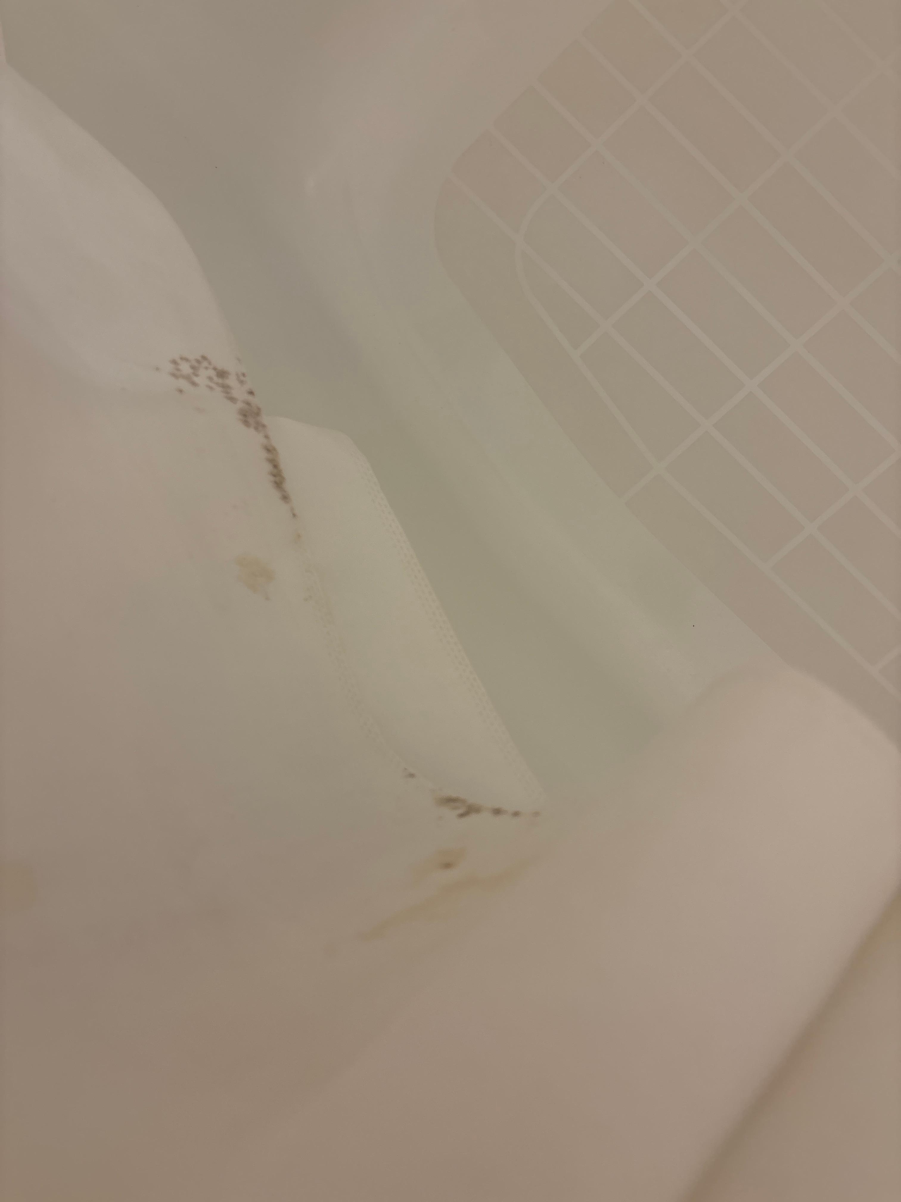 Mold at curtain liner base