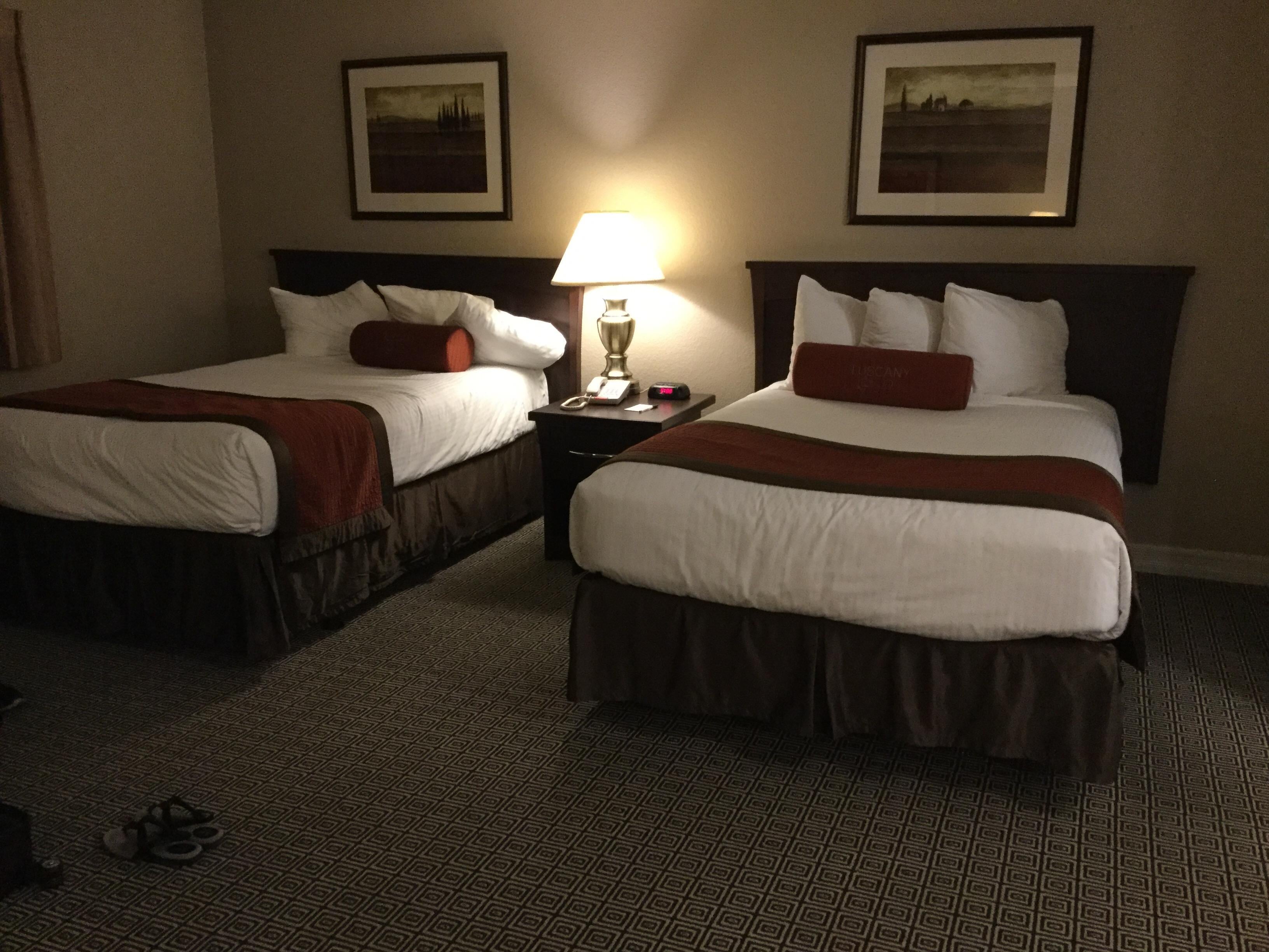 Beds in big rooms