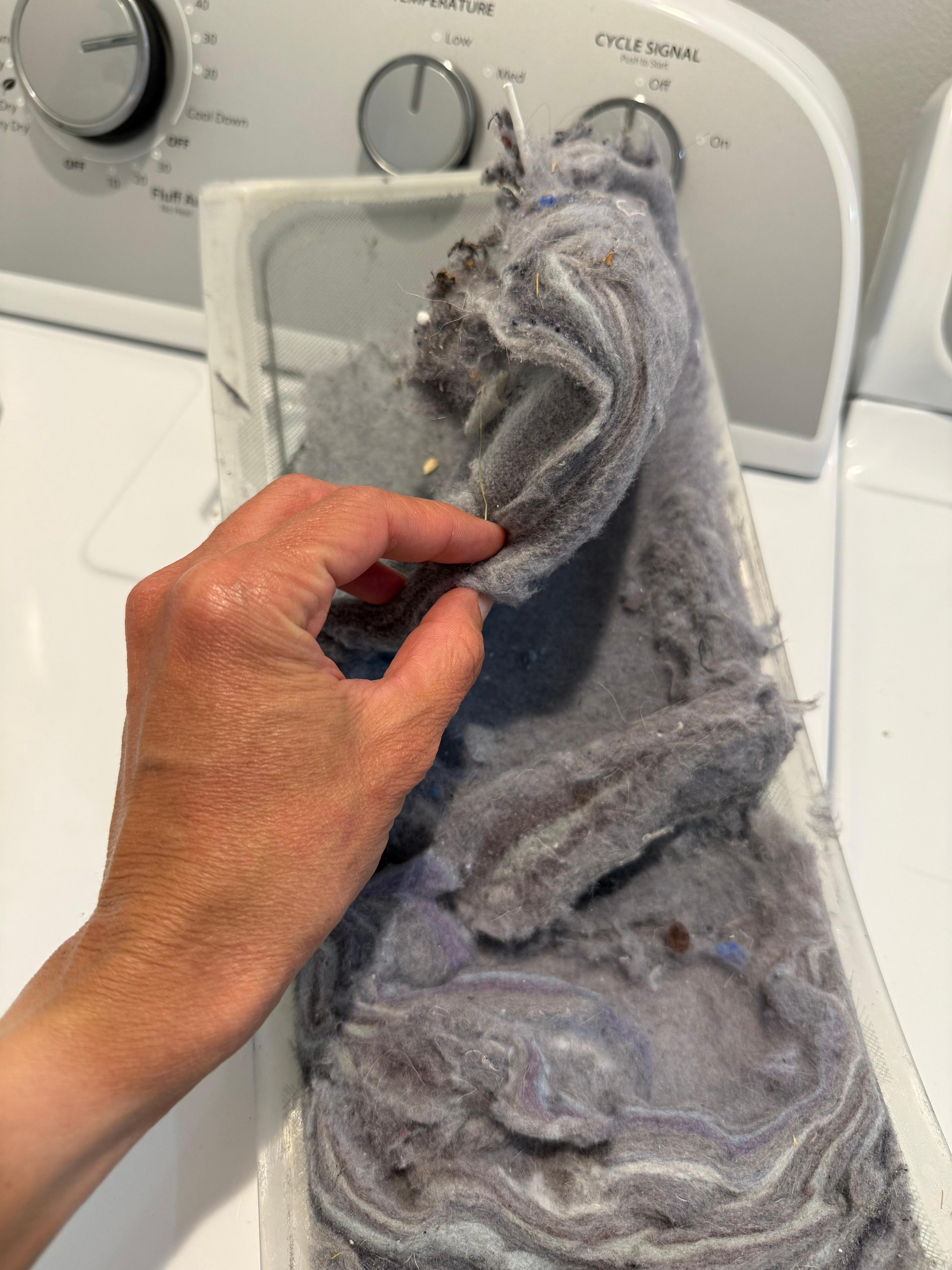 Lint trap had never been cleaned