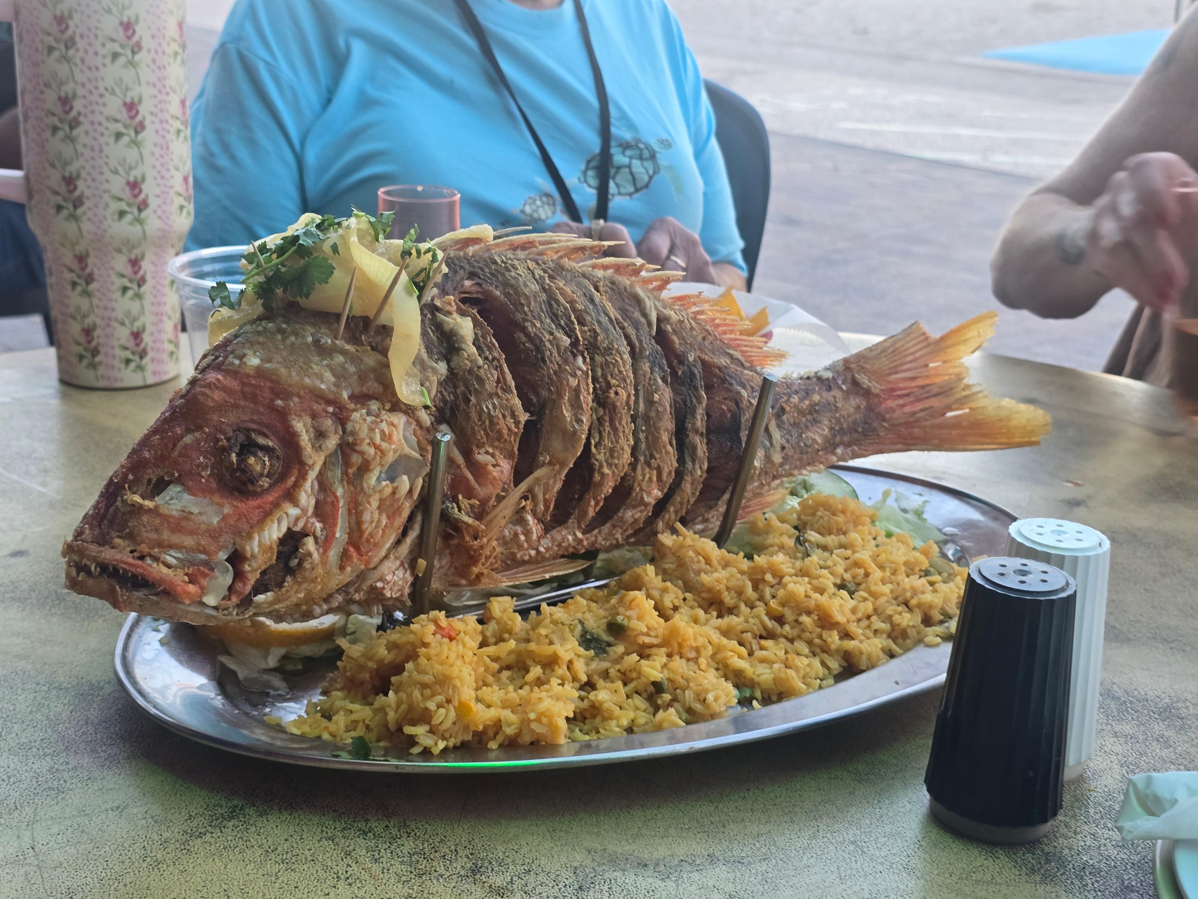 Dinner and the best view ever.