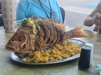 Dinner and the best view ever.