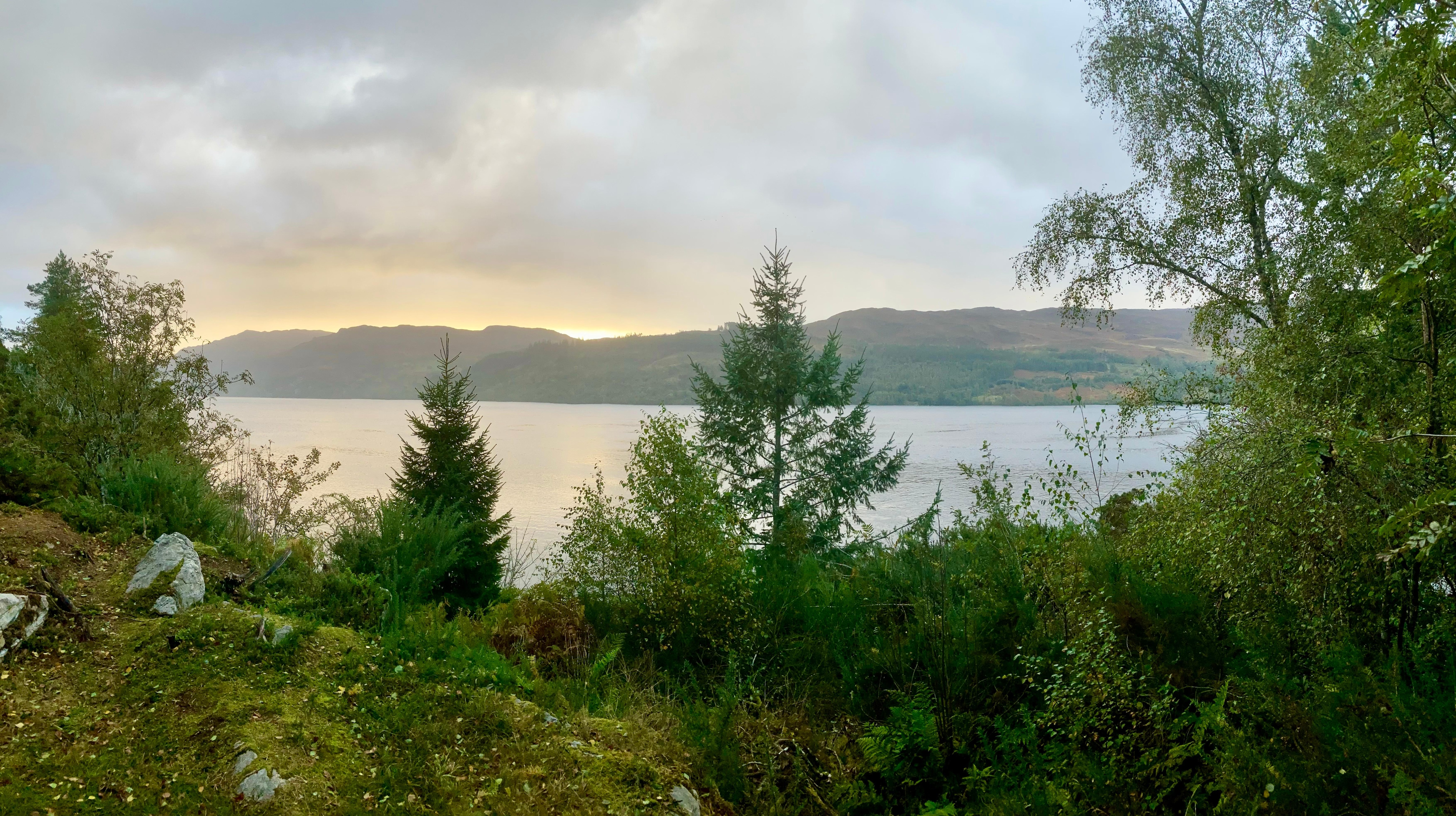 View of Loch Ness from woodland clearing