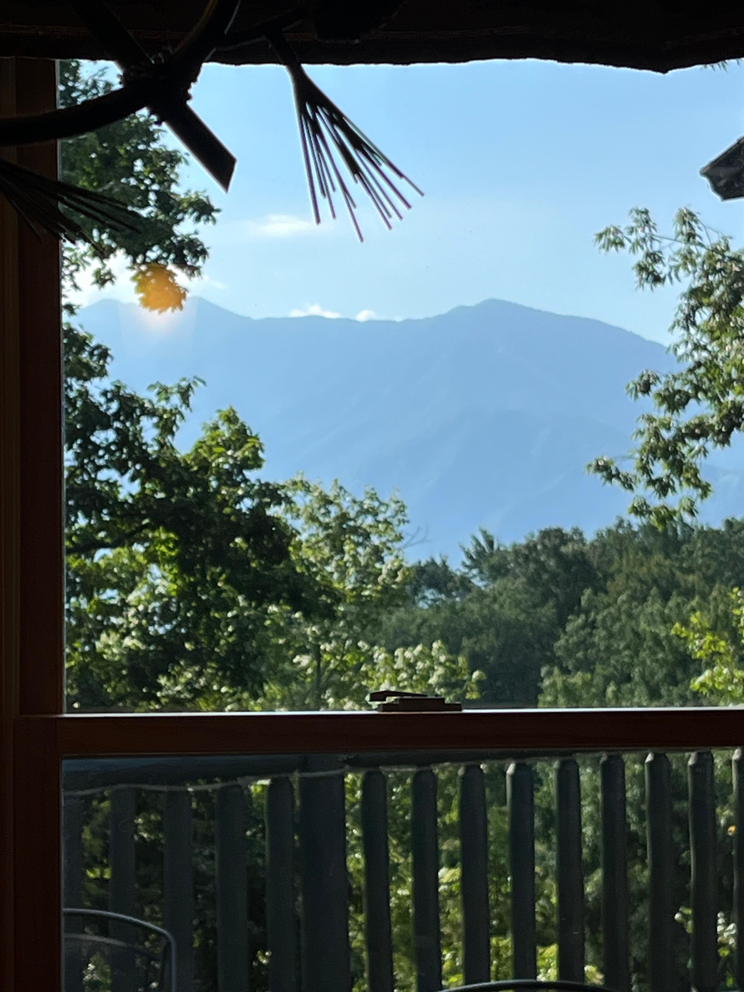 View from dining room as we ate breakfast. 